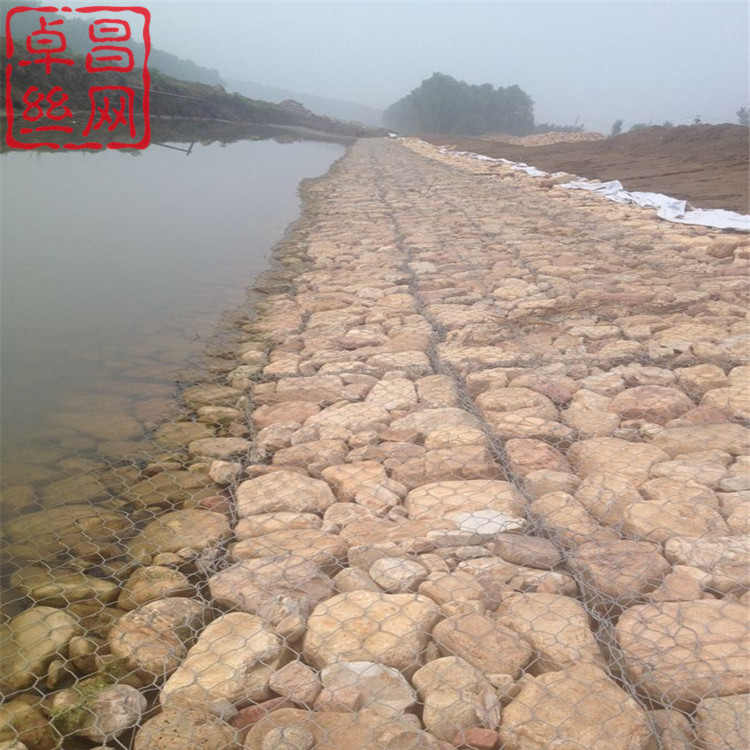 1630286170478017842.jpg 1467.jpg