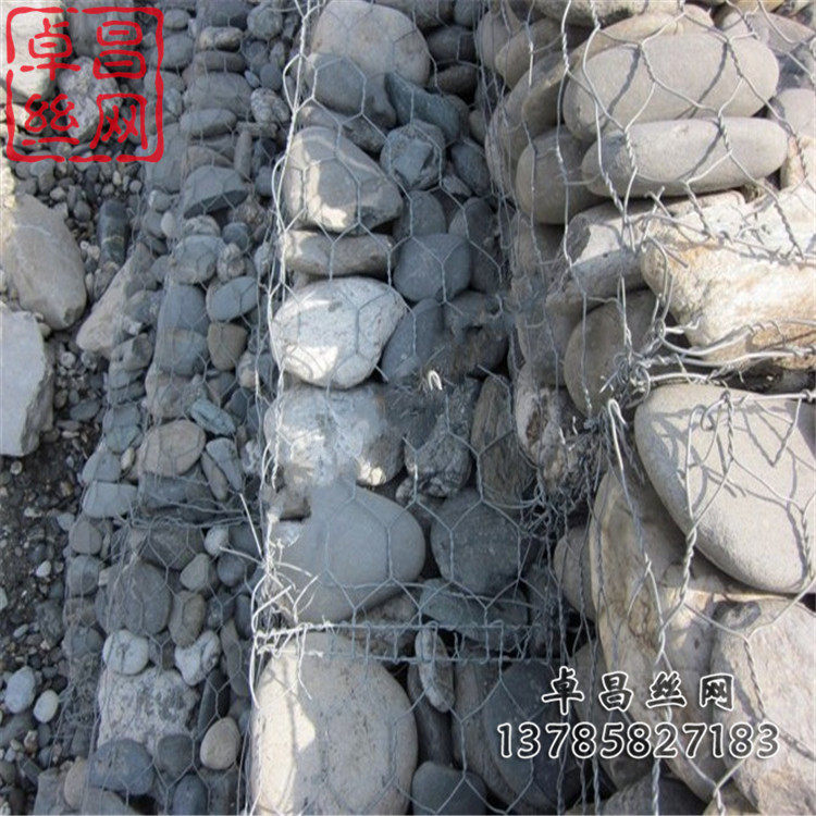 1631755785271090665.jpg 555.jpg