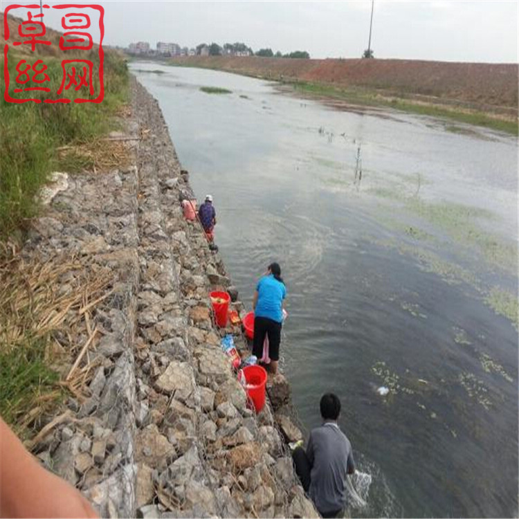 1632791029445042933.jpg 1266.jpg