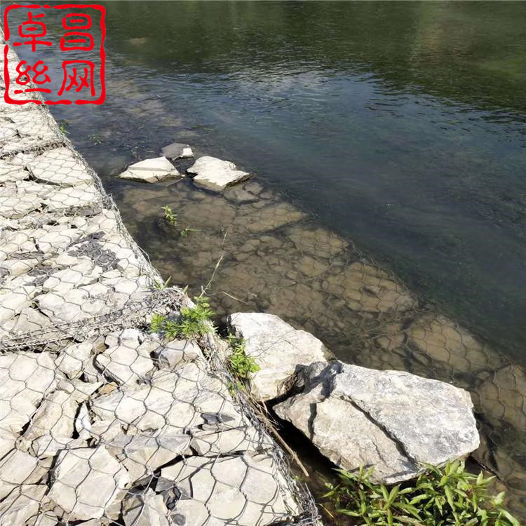 1692408745602015871.jpg 1750.jpg