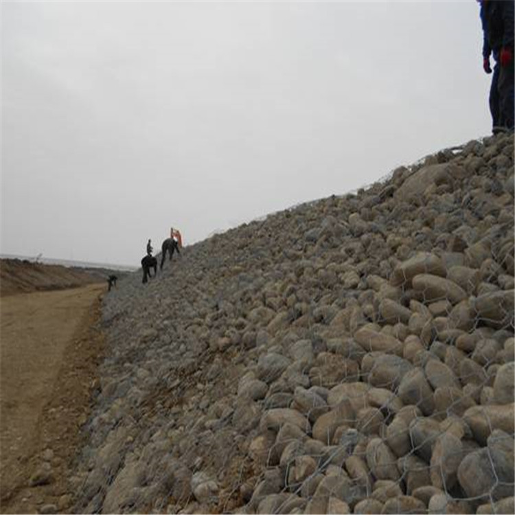 1692580878923046103.jpg 卓昌 (459).jpg