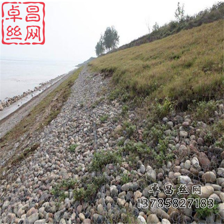 1693013884886008934.jpg 608.jpg