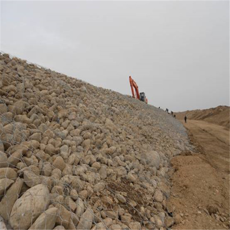 1693103938317058149.jpg 卓昌 (460).jpg