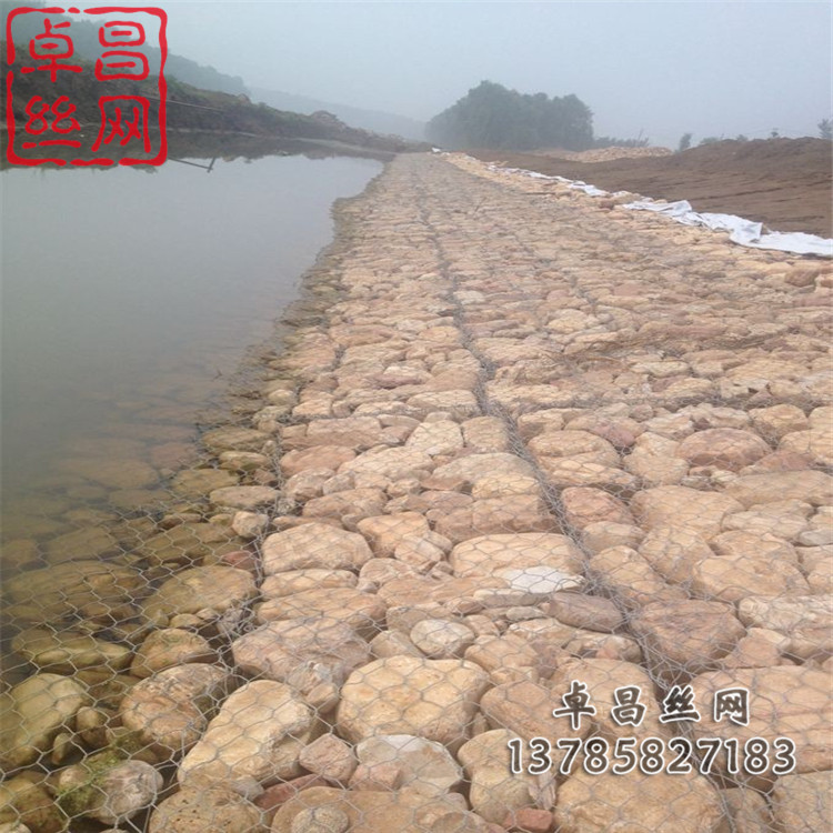 1693618110475070690.jpg 1467.jpg