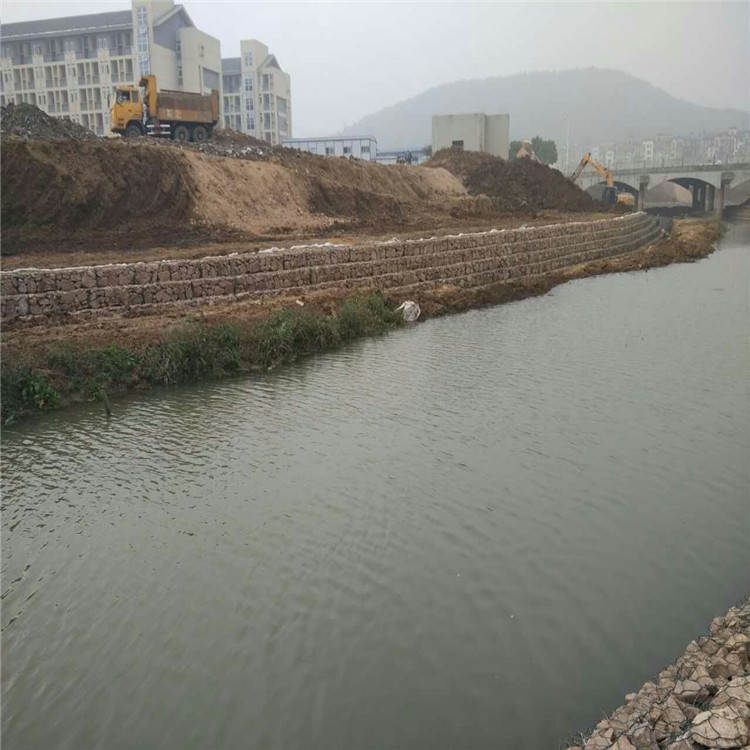 1693705683076055916.jpg 1609.jpg